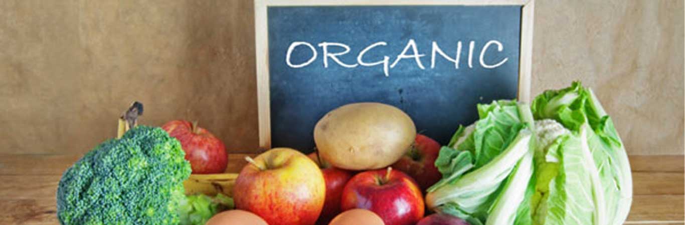 A-guide-to-producing-and-using-organic-household-products