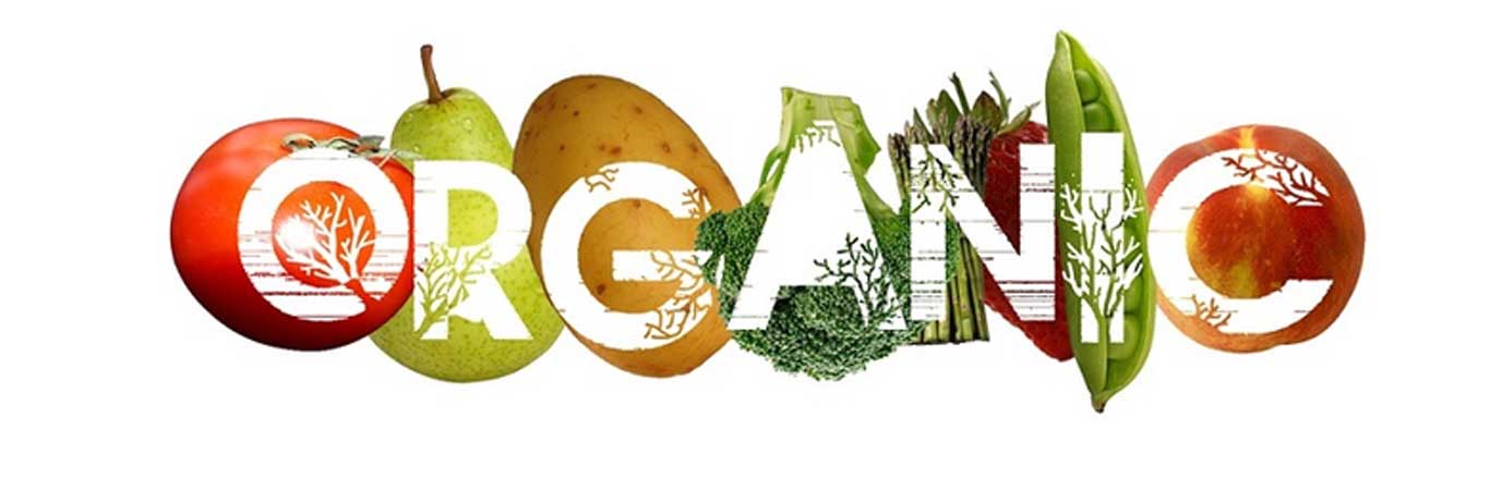 Cooking-lessons-with-organic-products