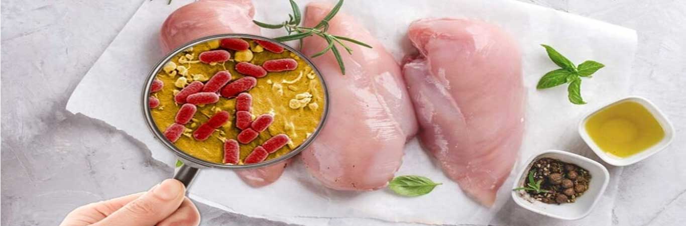 Four-steps-to-food-hygiene