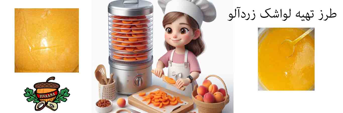 How-to-prepare-apricot-lavash