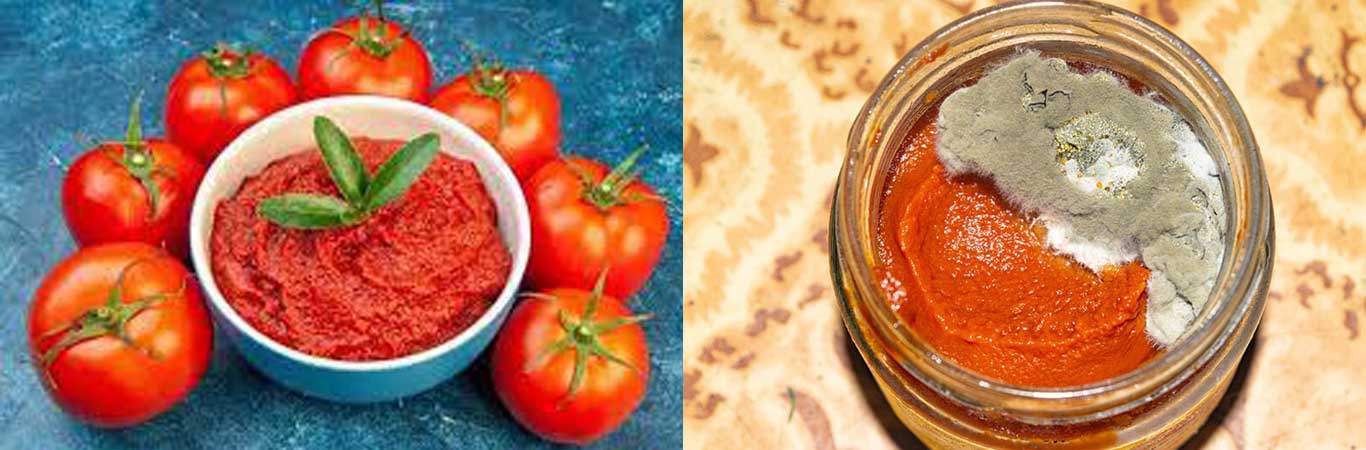 How-to-prevent-mold-in-tomato-paste