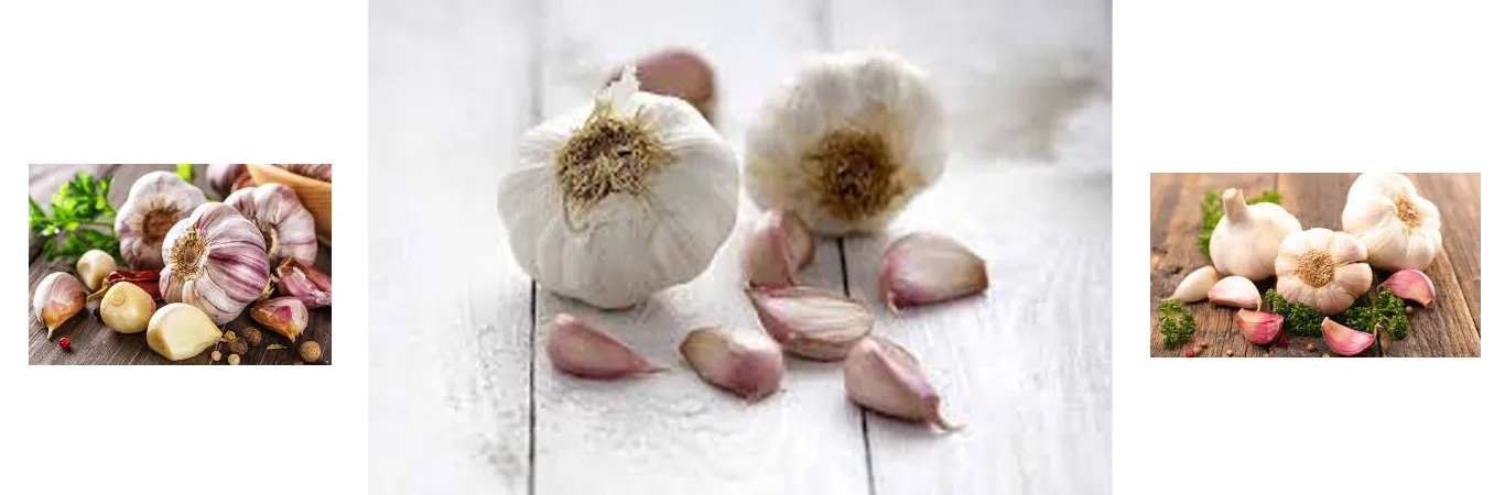 The-amazing-properties-of-garlic