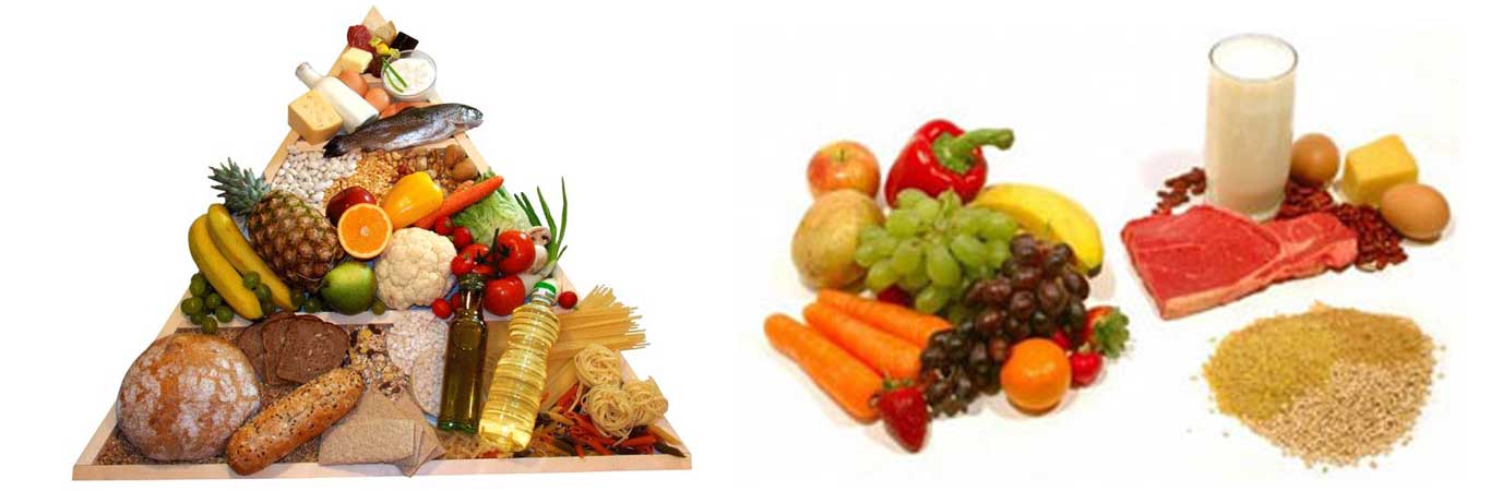 The-impact-of-healthy-food-on-the-health-of-body-organs