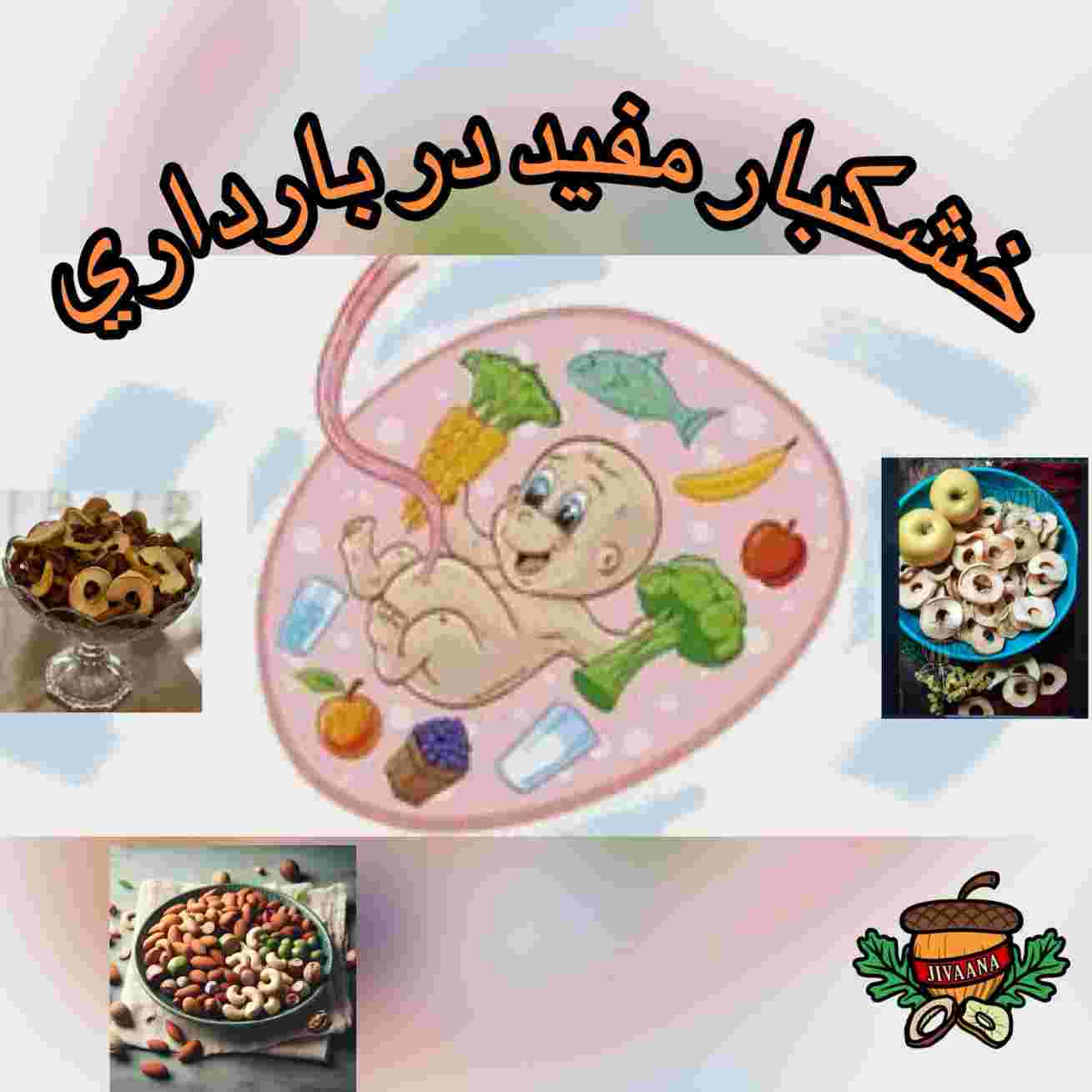 اهمیت خشکبار در بارداری